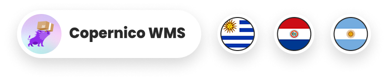 Partners Copernico WMS Partners Copernico WMS