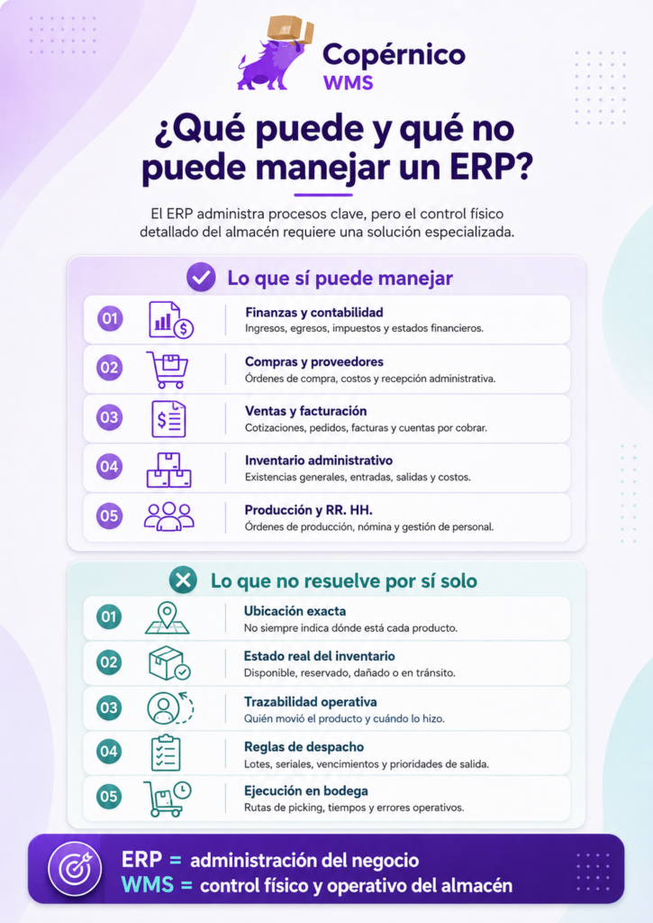 que es un erp info