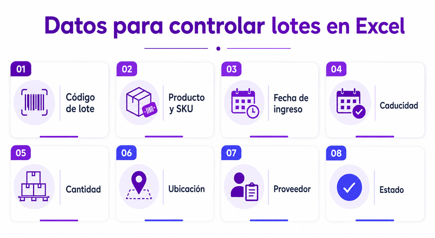 Infografía de control de inventarios por lotes Excel